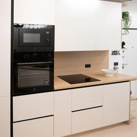 Wabi Sabi Nest Apartment Timişoara